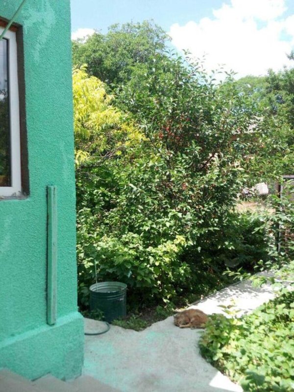 Купить квартиру Одесса Киевский район пл Толбухина с участком — фото 12