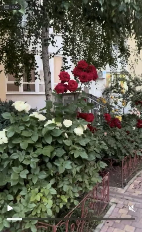 Парк Победы, 4-комнатная 140 м², панорама на парк — фото 11
