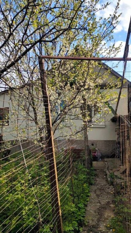 Продаж будинки, дачі, 67 м², Хаджибейський — фото 8