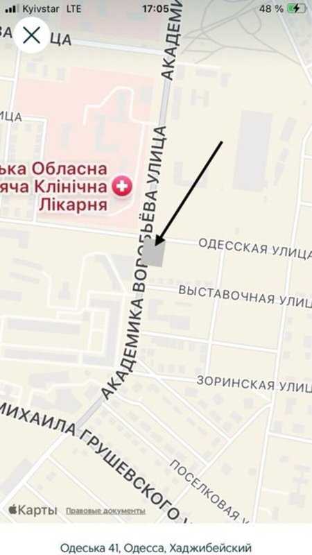Продаж будинки, дачі, 100 м², Хаджибейський — фото 9