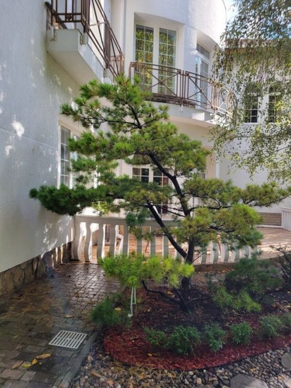 Продаж будинки, дачі, 650 м², Київський — фото 1