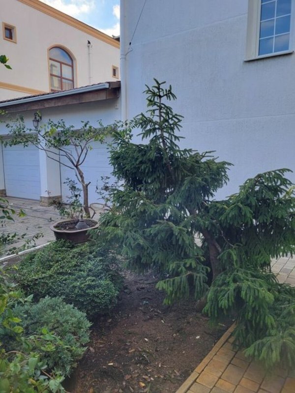Продаж будинки, дачі, 650 м², Київський — фото 9